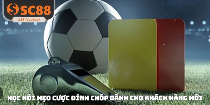 Học hỏi mẹo cược đỉnh chóp dành cho khách hàng mới