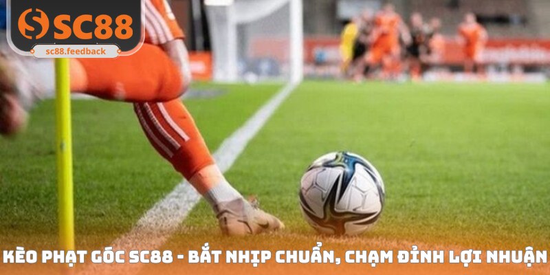 Kèo Phạt Góc SC88 - Bắt Nhịp Chuẩn, Chạm Đỉnh Lợi Nhuận